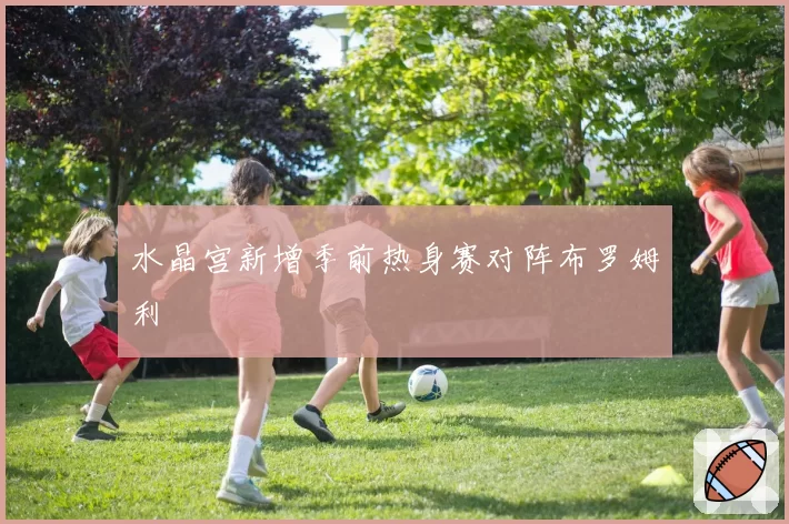 水晶宫新增季前热身赛对阵布罗姆利