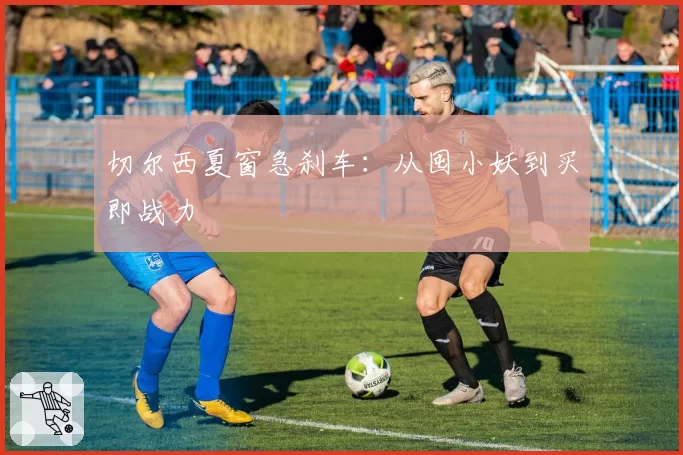 切尔西夏窗急刹车：从囤小妖到买即战力