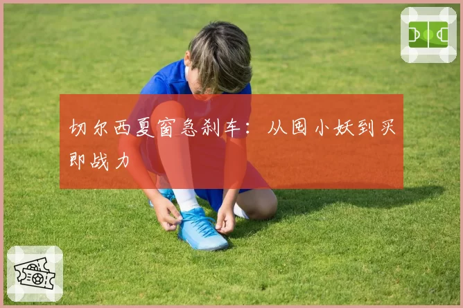 切尔西夏窗急刹车：从囤小妖到买即战力